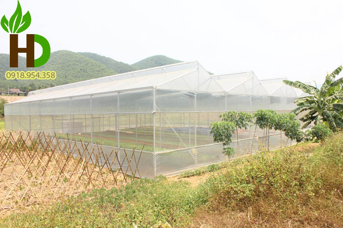 Ứng dụng của lưới chắn côn trùng 50 mesh trong nông nghiệp